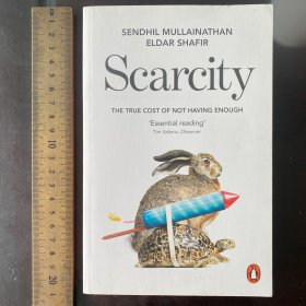 Scarcity the true cost of not having enough philosophy of economics 英文原版