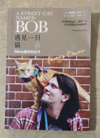 遇见一只猫:与Bob相伴的日子