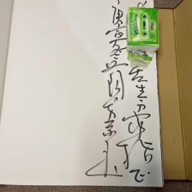 当代最具影响力国画家作品集 崔如琢（签名本）