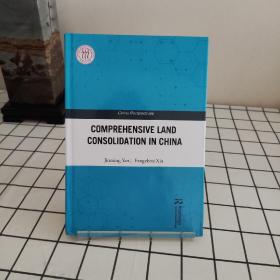 comprehensive land consolidation in china