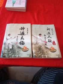 神游太极（第一、二辑）附光盘