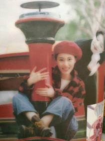 李嘉欣 纯影集 8页 16开大小 画册 写真