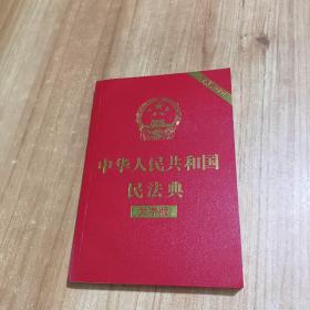 中华人民共和国民法典大字版