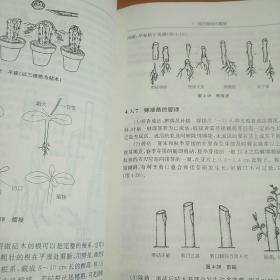 园艺植物栽培学（第2版）/普通高等教育“十一五”国家级规划教材