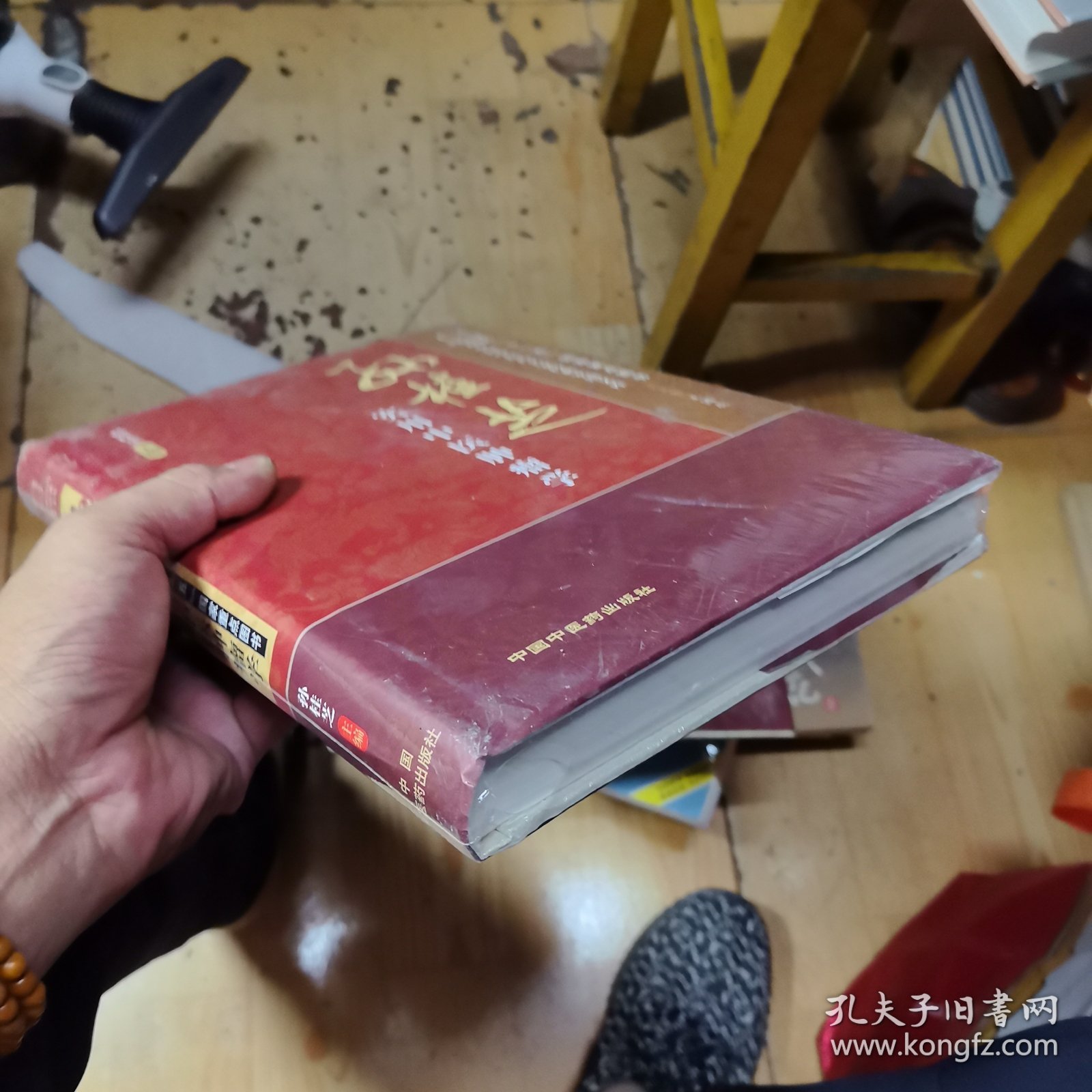 孙桂芝实用中医肿瘤学