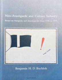 Neo-Avantgarde and Culture Industry：Essays on European and American Art from 1955 to 1975英文原版