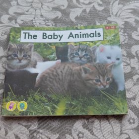 SALAD ENGLISH: Level b Book 44 The baby animals 小动物