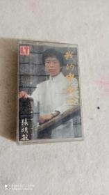 磁带我的中国心歌词缺一点