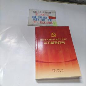 党的十九届六中全会《决议》学习辅导百问