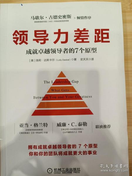 领导力差距：成就卓越领导者的7个原型