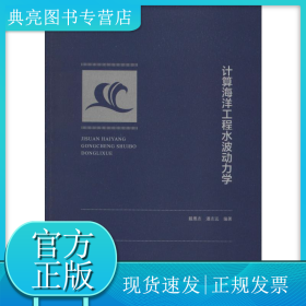 计算海洋工程水波动力学