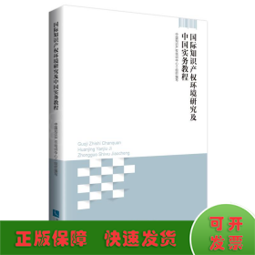 国际知识产权环境研究及中国实务教程