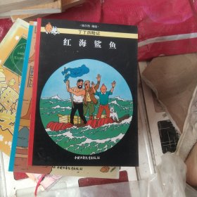 红海鲨鱼