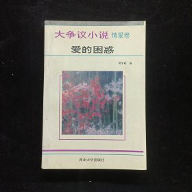 爱的困惑大争议小说·情爱卷