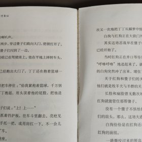 丁丁当当：4山那边还是山，7蚂蚁象（两本合售）