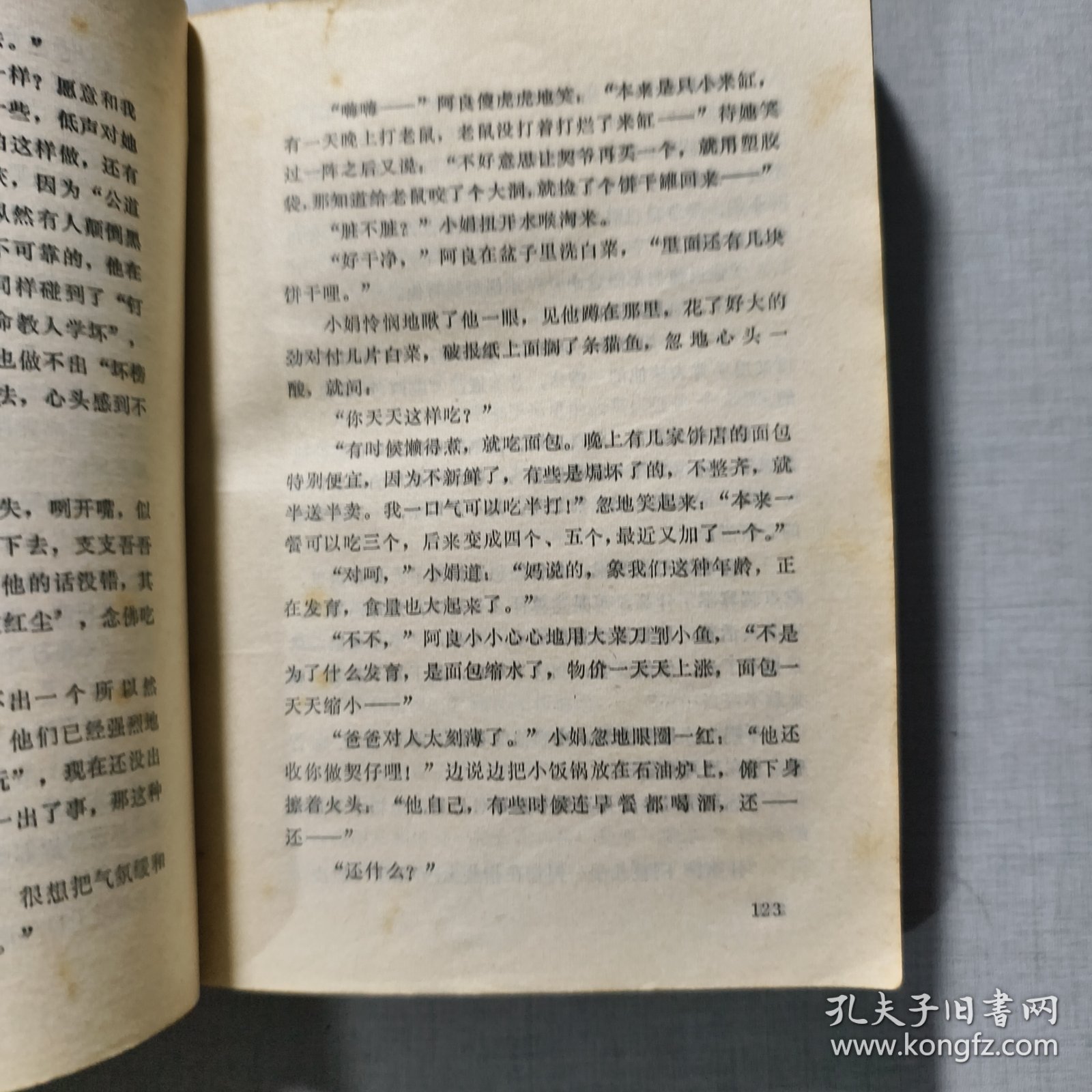 十年一觉香港梦