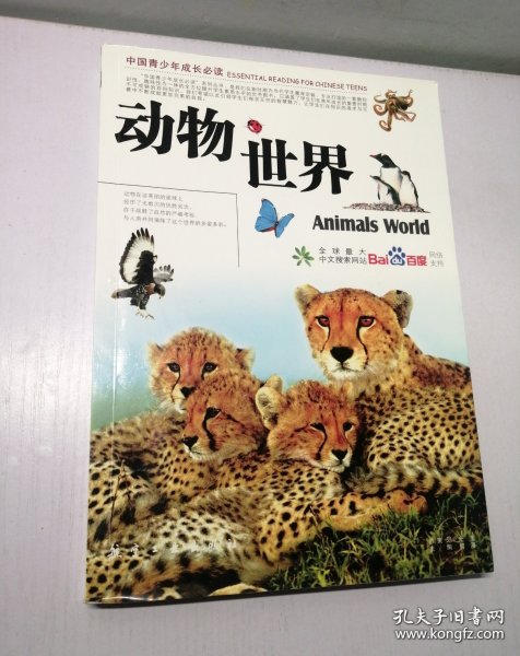 动物世界