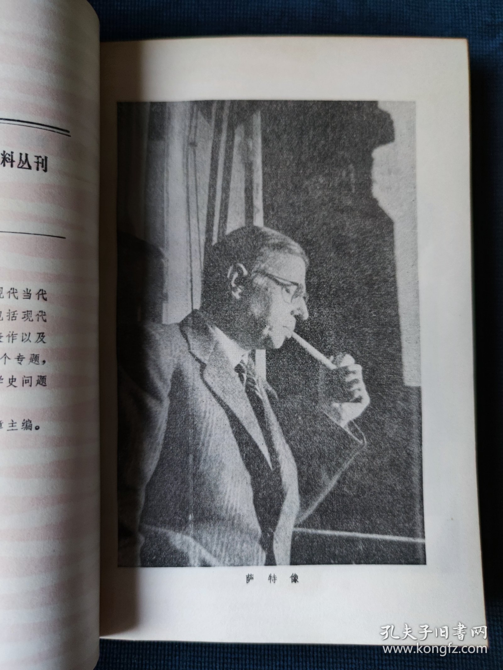 萨特研究