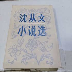 沈从文小说选