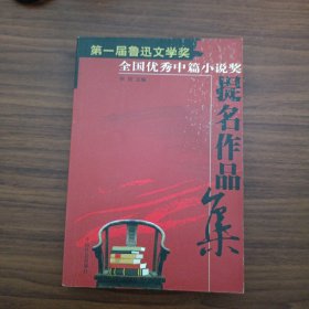 ：第一届鲁迅文学奖全国优秀中简小说奖提名作品