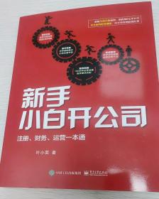 正版 新手小白开公司：注册、财务、运营一本通