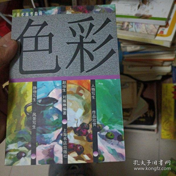 色彩（美术高考指南）