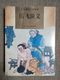 岳飞演义