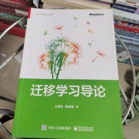 迁移学习导论