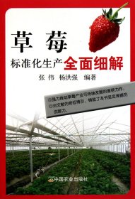 草莓标准化生产全面细解 张伟//杨洪强 中国农业