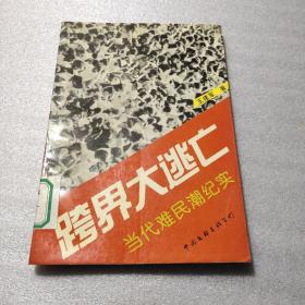 跨界大逃亡:当代难民潮纪实