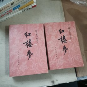 红楼梦（上下2册）