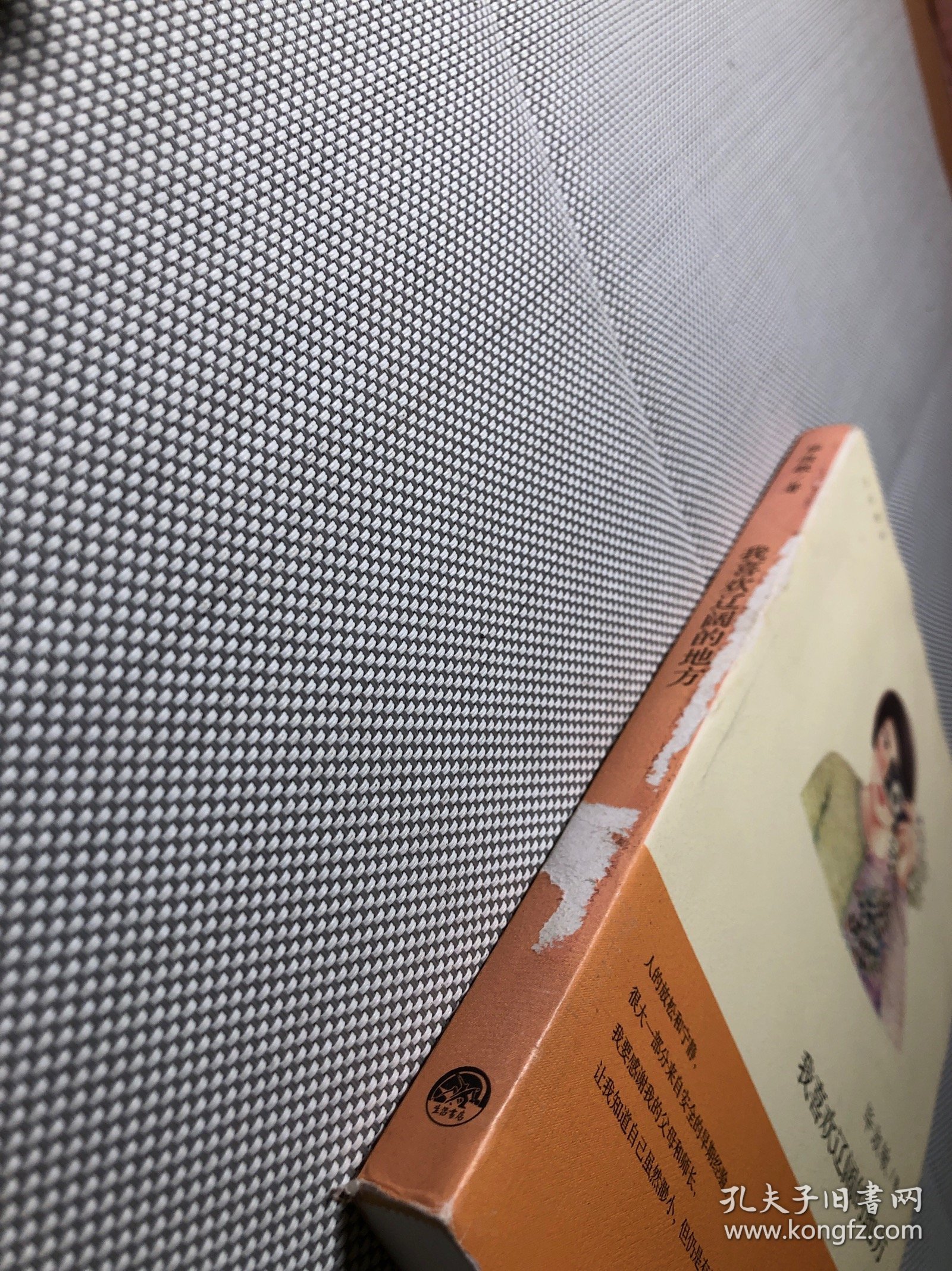 我喜欢辽阔的地方：四弦散谈