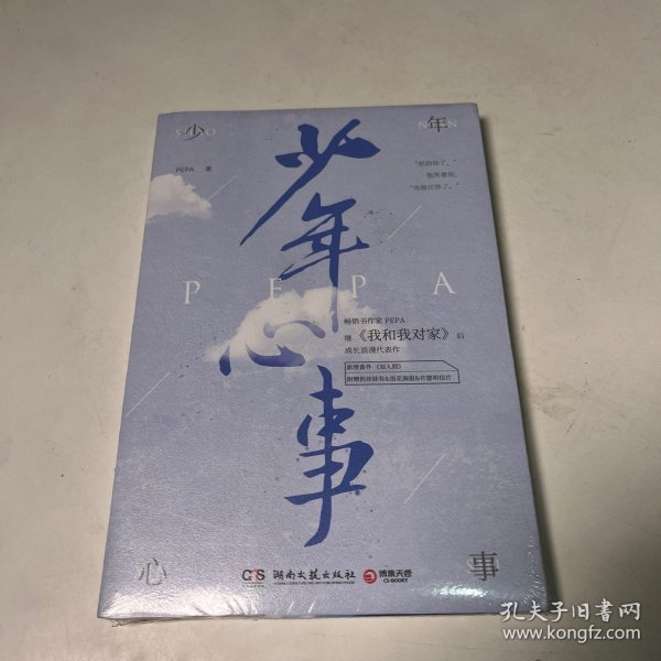 少年心事（继《我和我对家》后畅销书作家PEPA成长浪漫代表作。新增番外《双人照》，附赠抓娃娃券、浪花海报和许愿明信片）