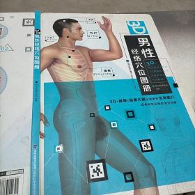 3D男性经络穴位图册