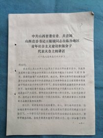 （1975年）共青团山西省委书记王银娥在临汾地区青年社会主义建设积极分子代表大会上的讲话
