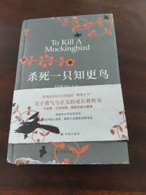 杀死一只知更鸟