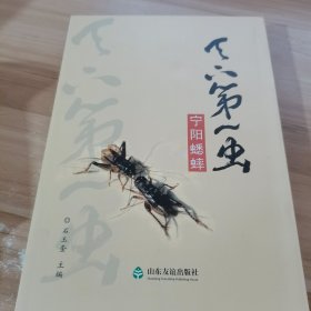 宁阳蟋蟀：天下第一虫