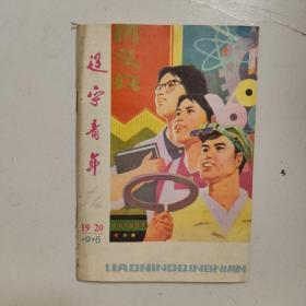 辽宁青年，1978    19-20。共青团辽宁省代表大会专刊。