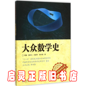 大众数学史 杨静 山东科学技术出版社