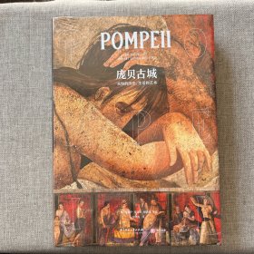 POMPEII 庞贝古城 永恒的历史 、生活和艺术