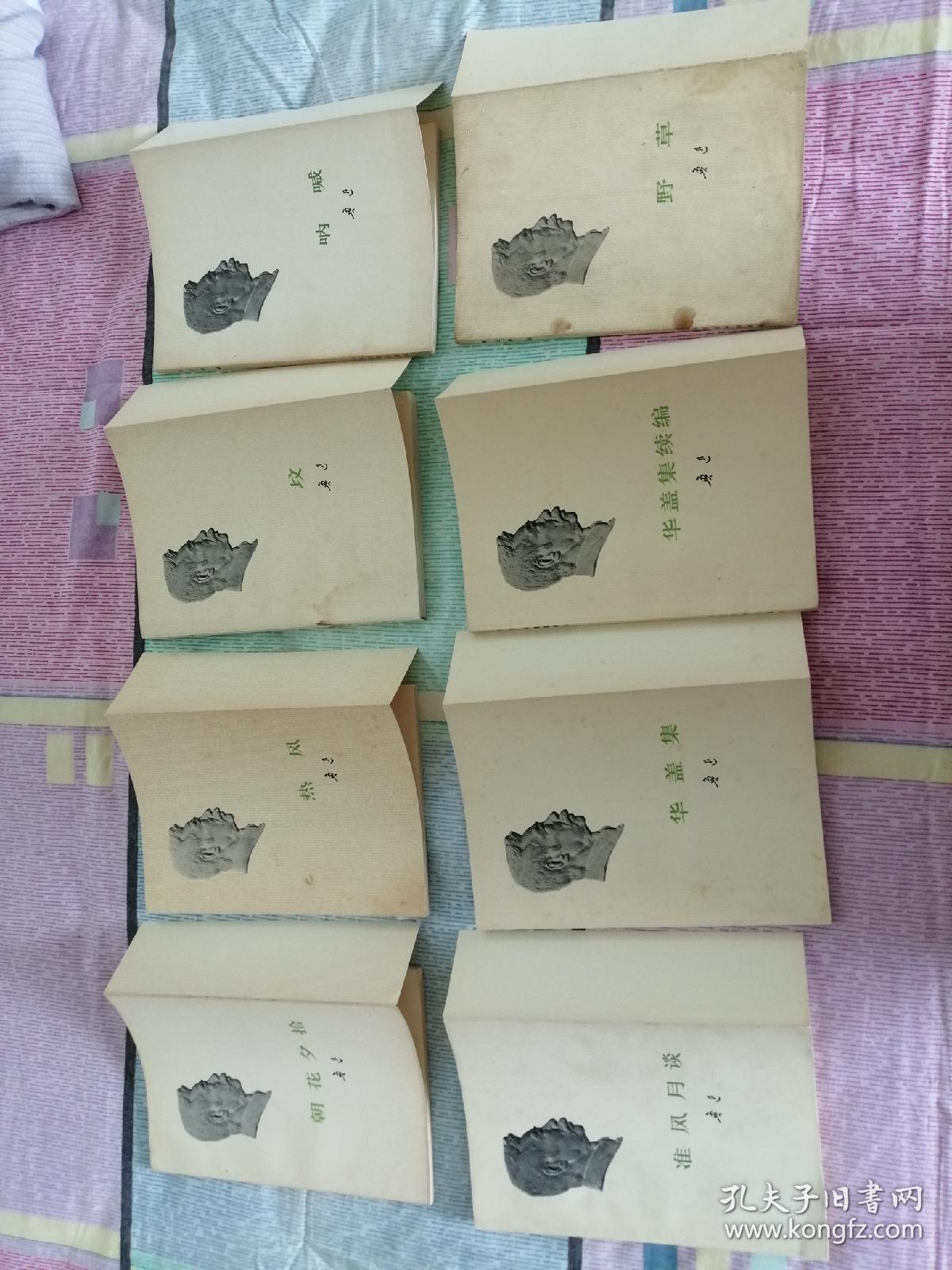 鲁迅著作 73版 白皮本 勒口（折边）24册全 呐喊 彷徨 野草 南腔北调集 中国小说史略 伪自由书 花边文学 两地书 且介亭杂文 二集 末集 汉文学史纲 集外集 拾遗 故事新编 朝花夕拾 而已集 三闲集 二心集 坟 准风月谈 华盖集 续编