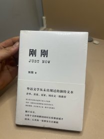 刚刚（余华和麦家大赞的文学奇书！华语文学从未出现过的独特文本。）