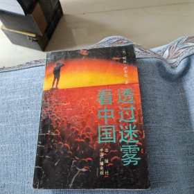透过迷雾看中国