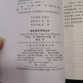 名著名译插图本 ：钢铁是怎样炼成的