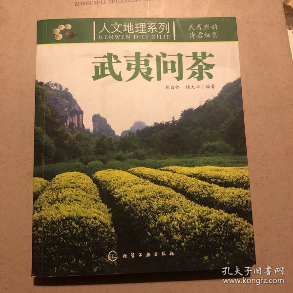 武夷问茶