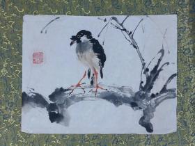 秋意倦羽 【宣纸花鸟国画】