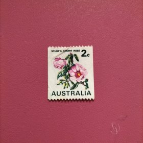 澳大利亚信销邮票 1971年 陆地棉 花卉植物 面值2（ 库存 1 ）