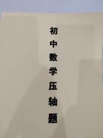 初中数学压轴题