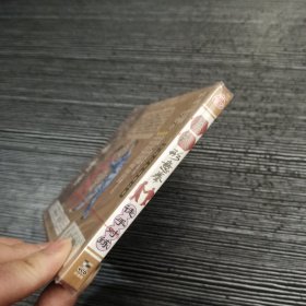 车式形意拳 徒手对练 VCD