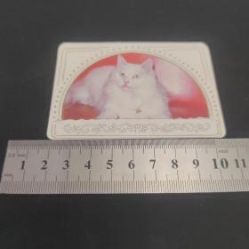 1983年年历卡片（猫咪）（2张合售）